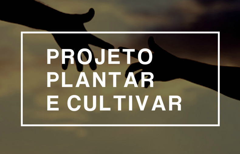 Projeto Plantar e Cultivar – Allwood