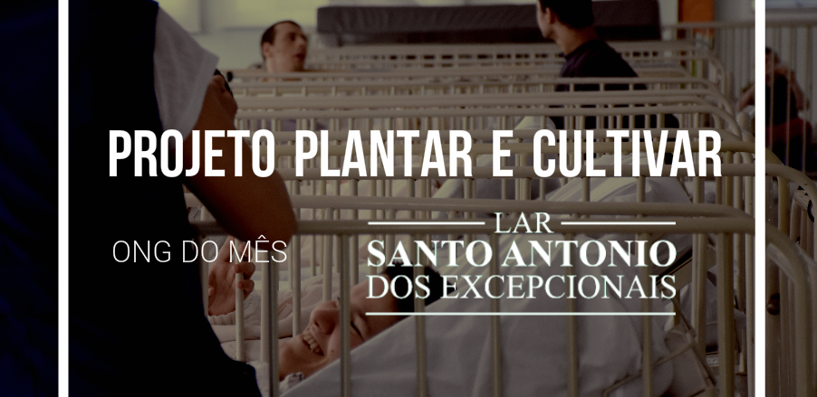 Projeto Plantar e Cultivar - Lar Santo Antônio