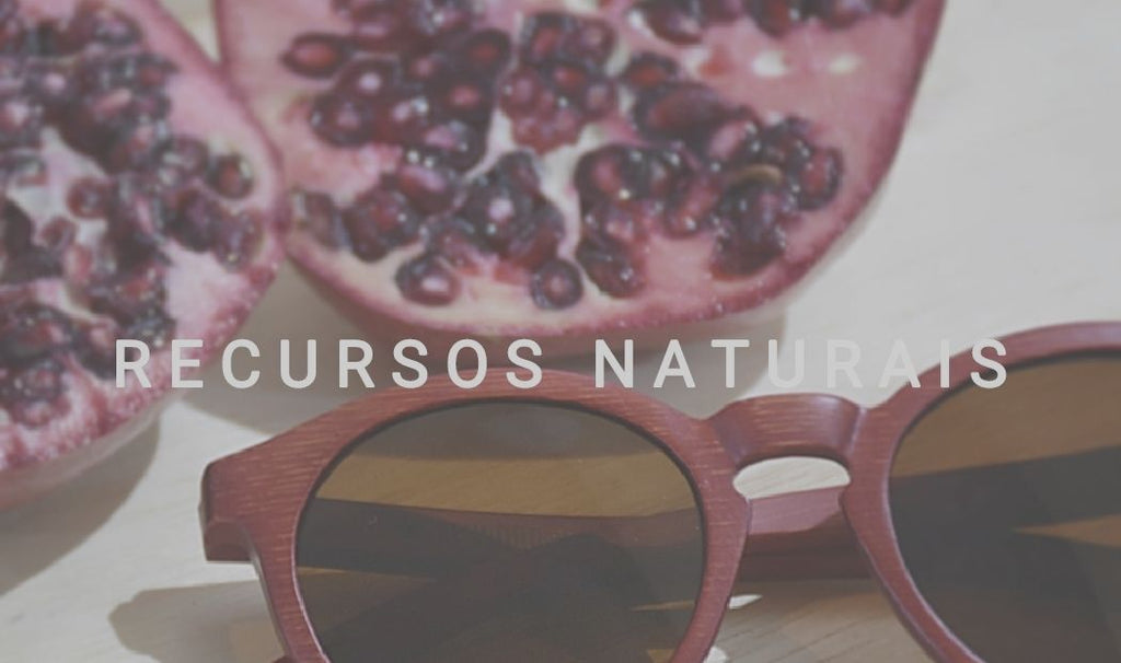 Frutas Exóticas  - Allwood Óculos de Madeira