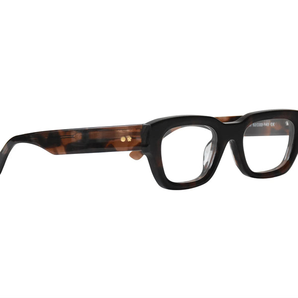 Pygmalius Derius 1/8 2004年 弓ARCHET 東洋ケース Óculos de grau retangular tortoise Demétrius- Allwood - Bio