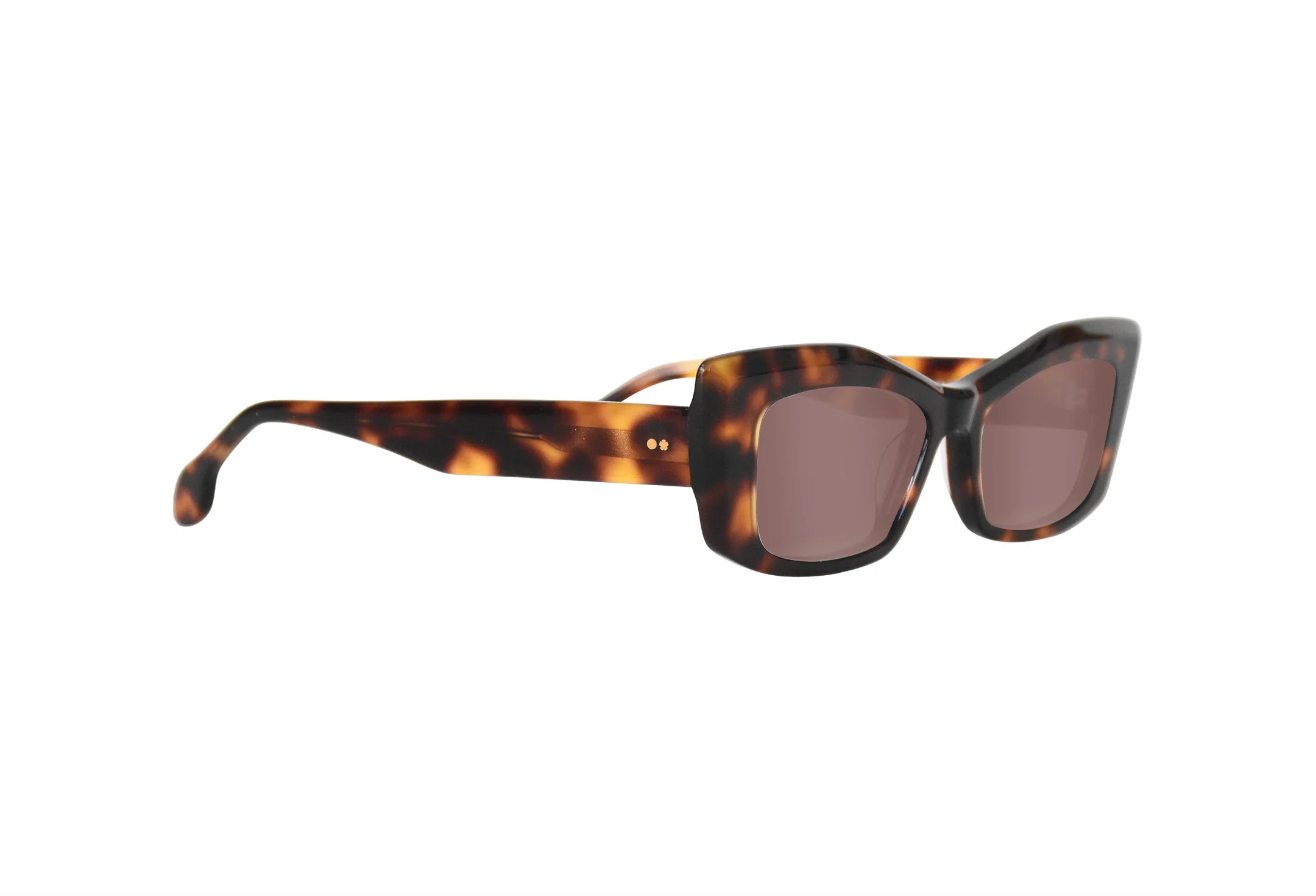 Óculos-de-bio-acetato-de-Sol-Brera-Tortoise-lado